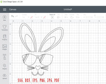 Load image into Gallery viewer, Cool bunny svg Boy bunny svg Boy rabbit svg Cool bunny face svg Bunny rabbit svg Easter boy bunny svg Bunny sunglasses svg Bunny svg Rabbit
