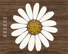 Load image into Gallery viewer, Daisy mandala svg Half of a daisy svg White flower svg Daisy monogram svg Daisy png Floral monogram svg Daisy bundle svg Floral mandala svg
