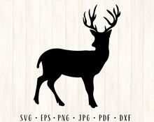 Load image into Gallery viewer, Deer bundle svg Christmas svg Deer clipart Deer png Deer svg Deer head svg Deer monogram Deer frame svg Deer antlers svg Deer cut file
