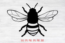 Load image into Gallery viewer, Bee svg Bee png Bee clipart Honey bee svg Bee cut file Bee shirt svg Bee clip art Bee digital file Bee sublimation file Bee cutting file
