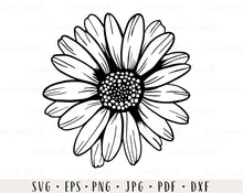 Load image into Gallery viewer, Daisy flower svg Daisy svg Flower svg Sunflower svg Daisy decal svg Daisy png Floral svg Wedding flower svg Daisy clipart Daisy sublimation
