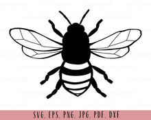 Load image into Gallery viewer, Bee svg Bee png Bee clipart Honey bee svg Bee cut file Bee shirt svg Bee clip art Bee digital file Bee sublimation file Bee cutting file
