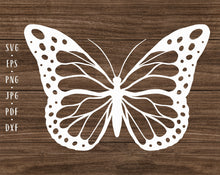 Load image into Gallery viewer, Butterfly svg Butterfly png Butterfly clipart Butterfly cut file Butterfly decal svg Butterfly shirt svg Butterfly clip art Butterfly vector
