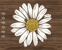 Load image into Gallery viewer, Daisy svg Flower svg Daisy flower svg  Sunflower svg Daisy decal svg Daisy png Floral svg Wedding flower svg Daisy clipart Daisy sublimation
