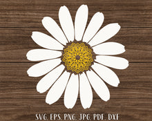 Load image into Gallery viewer, Daisy bundle svg Flower svg Daisy monogram Daisy svg Daisy clipart Daisy png Floral svg Sunflower svg Daisy cut files Half daisy svg
