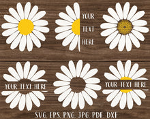 Load image into Gallery viewer, Daisy bundle svg Flower svg Daisy monogram Daisy svg Daisy clipart Daisy png Floral svg Sunflower svg Daisy cut files Half daisy svg
